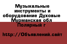 Музыкальные инструменты и оборудование Духовые. Мурманская обл.,Полярный г.